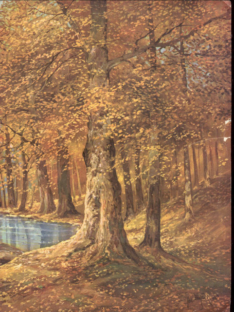 old vintage Fall Leaves Litho Print