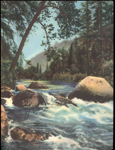 old vintage 1950s RUNNING STREAM litho print