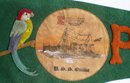 Antique 1918 PANAMA PENNANT * PARROT * U.S.S.