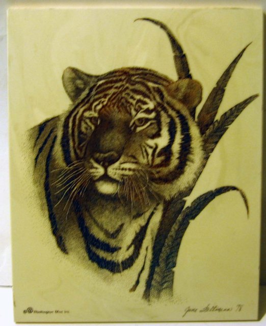 June Weltman Tiger Engraving 1978