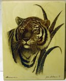 June Weltman Tiger Engraving 1978