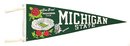 Michigan Rose Bowl Felt Pennant - 1966