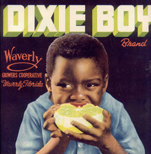 Dixie Boy Grapefruit Citrus crate Label