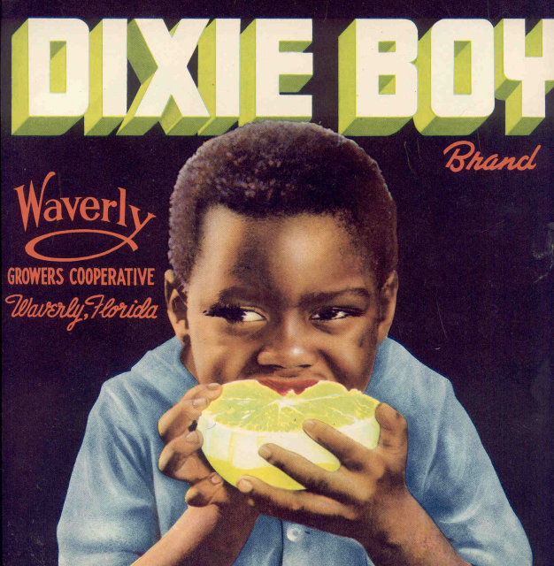Dixie Boy Grapefruit Citrus crate Label