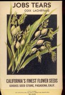 VINTAGE FLOWER PACK ~ JOB'S TEARS FLORAL ~ PASADENA CALIFORNIA 1920S
