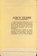 VINTAGE FLOWER PACK ~ JOB'S TEARS FLORAL ~ PASADENA CALIFORNIA 1920S