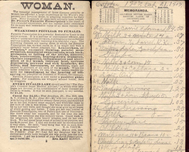 VINTAGE 1881 LADIES CALENDAR NOTEBOOK ~ MEDICAL ASSOC BUFFALO NEW YORK