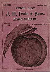 Peach Teats Nursery Booklet NY