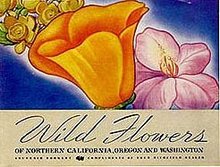 Richfield Gasoline Oil Booklet 1936