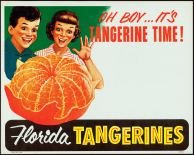 FLORIDA TANGERINE ORANGE STORE DISPLAY SIGN
