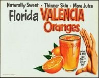 Florida Oranges Sign 1950s vintage