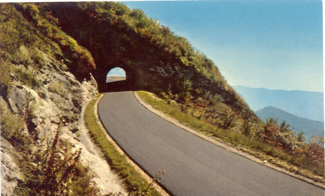 BLUE RIDGE PARKWAY / NORTH CAROLINA / POSTCARD