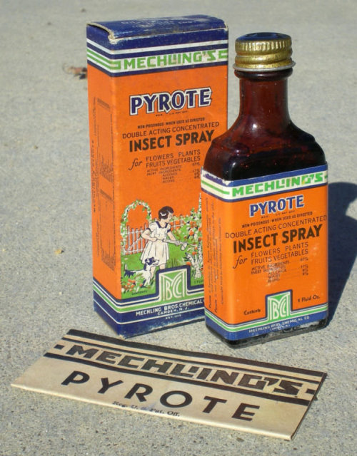 Pyrote Insect Bug Bottle Full