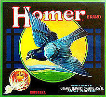 Citrus Crate Labels - Bird Collection