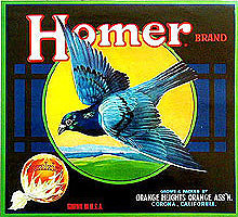Citrus Crate Labels - Bird Collection