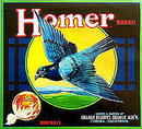 Citrus Crate Labels - Bird Collection