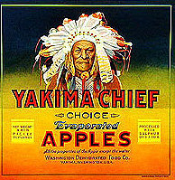 20 VINTAGE INDIAN CRATE LABELS