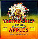 20 VINTAGE INDIAN CRATE LABELS