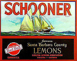 18 VINTAGE CITRUS SHIP SCHOONER CRATE LABELS