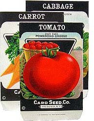 NY Seed Packs - Fredonia New York Vegetables