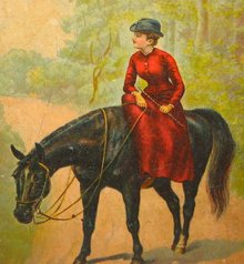 BLACK BEAUTY BOOK * ANTIQUE 1890S MCLOUGHLIN