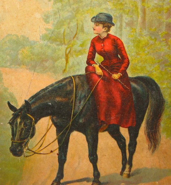 BLACK BEAUTY BOOK * ANTIQUE 1890S MCLOUGHLIN