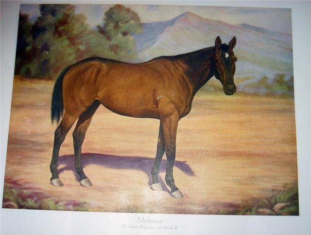 Malicious Horse Print ~ Khayyam