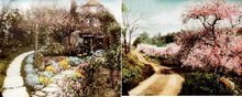WALLACE NUTTING PRINTS * 2 OLD VINTAGE WALLACE
