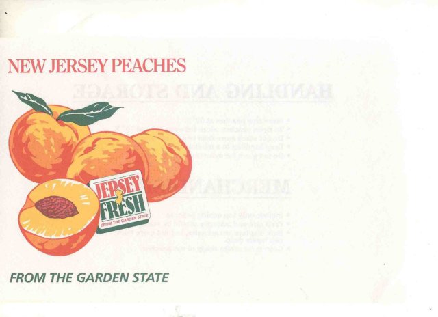Grocery Store Peach Poster