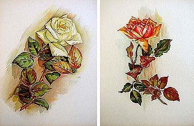 4 VINTAGE NY FLORAL LITHOGRPAHS PRINTS