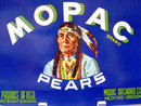 Mopac Indian Crate Citrus Label