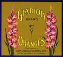 Gladiola Oranges Citrus Crate Label