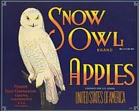 Snow White Owl Apple Crate label