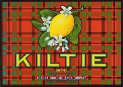 Lemon Kiltie Citrus Crate Label