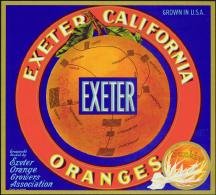 Exeter Sunkist Orange Citrus Crate label