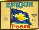 Ensign Pear Label