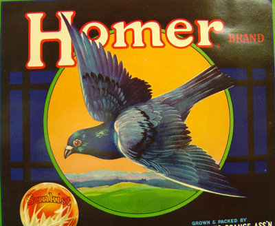 Sunkist Homer Pigeon Label