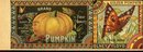 ANTIQUE OLNEY & FLOYD BUTTERFLY PUMPKIN LABEL