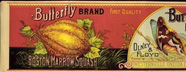 Olney Floyd Butterfly Squash Can Vegetable Label
