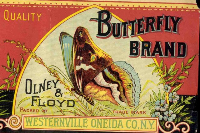 Olney Floyd Butterfly Squash Can Vegetable Label