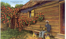 VINTAGE NEGRO MAN PLANTATION POSTCARD / UNUSED