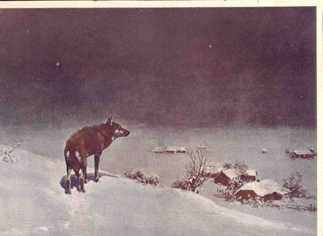 Lone Wolf Art Print
