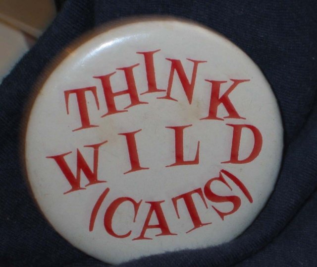 VINTAGETHINK WILDCATS PINBACK PIN