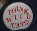 VINTAGETHINK WILDCATS PINBACK PIN