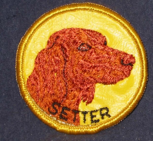Irish Setter Dog Patch