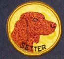 Irish Setter Dog Patch