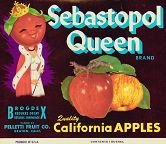 Sebastopol Queen APPLE CRATE Label