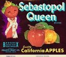 Sebastopol Queen APPLE CRATE Label