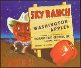 VINTAGE SKY RANCH APPLE CRATE LABEL / COWBOY / COMICAL