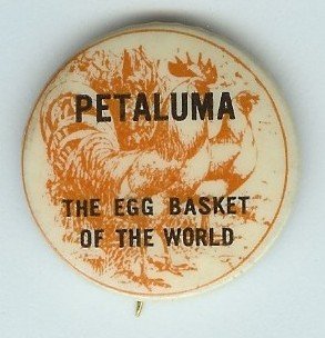 ANTIQUE 1920s PETALUMA EGG ROOSTER PINBACK PIN